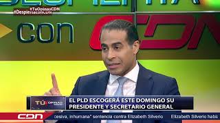 El PLD escogerá este domingo su presidente y secretario general [upl. by Gwennie737]