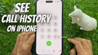 How to See the Call History on Your iPhone [upl. by Aloz]