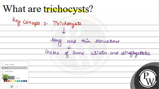 What are trichocysts [upl. by Milburt]