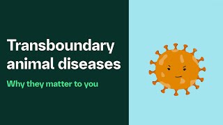 What are transboundary animal diseases [upl. by Notlew]