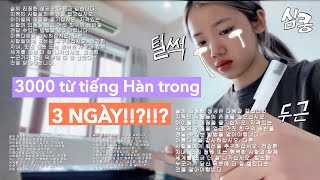 Mình đã học 3000 từ tiếng Hàn trong 3 ngày [upl. by Eiral]