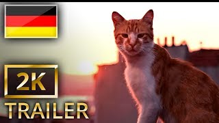 Kedi  Von Katzen und Menschen  Offizieller Trailer 1  Ab 10 August im Kino 2K UHD DeutschG [upl. by Anama940]