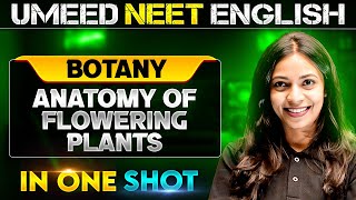 ANATOMY OF FLOWERING PLANTS in 1 Shot  All concepts Covered  UMEED NEET in Pure English [upl. by Rufena638]