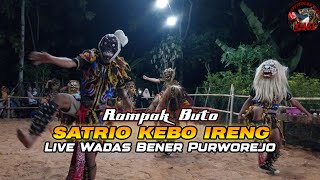 BRINGAS❗️ RAMPAK BUTO quotSATRIO KEBO IRENGquot  LIVE WADAS BENER PURWOREJO [upl. by Odlamur668]