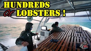 Lobstering in Sketchy Conditions  Hundreds of Lobsters on Opening Day [upl. by Harewood648]