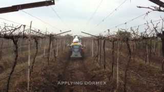 The Martignani Phantom M748 Minor Electrostatic Sprayers Operating on Table Grapes [upl. by Scheck]