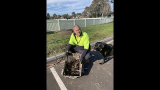 Inspection of OceanGuard at William Street Reserve Brighton Victoria [upl. by Edelman]