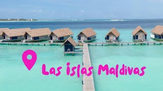 Las Islas Maldivas Un Paraíso en el Océano Índico [upl. by Marcella]