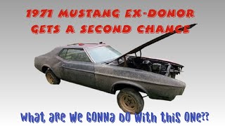 1971 Mustang Coupe ExDonor Car Renewed [upl. by Alexina]