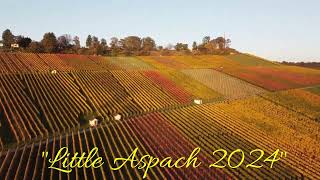 Herbstzeit am Weinberg Kleinaspach [upl. by Aluk]