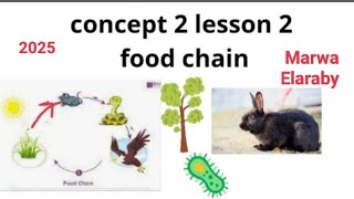 grade 5 science unit 1 concept 2 lesson 2 food chain Marwa Elaraby 2025 [upl. by Llekim]