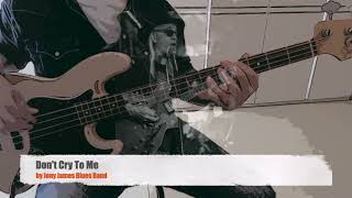 Dont Cry To Me by Jony James Blues Band  Bass Cover [upl. by Alphonse]