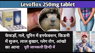 Levoflox 250mg tablets use dose benefits and Side effects full review [upl. by Acey]