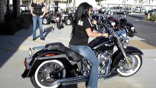 Mary Lafarga and the 2005 HarleyDavidson Softail Deluxe [upl. by Highams]