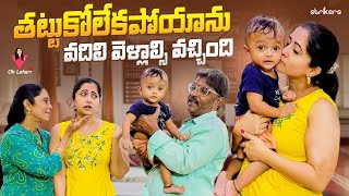 తట్టుకో లేకపోయాను వదిలేసి వెళ్లాల్సి వచ్చింది  OK Lahari  Telugu Vlogs  Strikers [upl. by Omora]