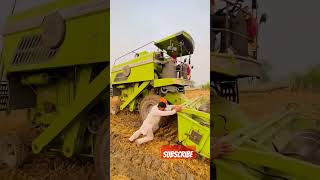 🥳👻 punjab agriculture farming youtube ytshorts shorts reels trending youtubeshorts combine [upl. by Efren]