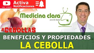 Beneficios de la Cebolla Comer Cebolla ¿es bueno Propiedades y mitos  Medicina Clara [upl. by Hollingsworth817]