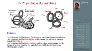 le système vestibulaire [upl. by Ruben579]