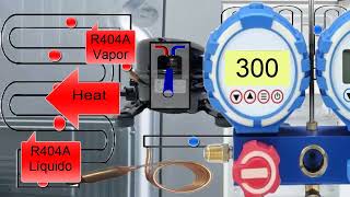 R404A Pressure Explained in Home Fridges Key Parts Functions and Troubleshooting Tips [upl. by Aizahs895]