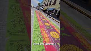 Los murales de huamantla halloween diademuertos [upl. by Ted]