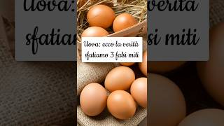 TUTTA la VERITÀ sulle UOVA🥚 SFATIAMO 3 FALSI MITI short [upl. by Utas]