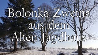 Bolonka Zwetna aus dem Alten Jagdhaus  ein Paradies für Bolonkas Teil 1  Bolonka Zwetna Welpen [upl. by Cud]