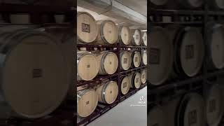 Visita a Bodegas Baigorri en Rioja Alavesa [upl. by Etolas]