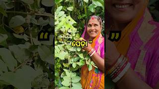 ସ୍ନେହରେ ରଖିଛି ପେଡ଼ା 😂odiavlog odisha odiablogger [upl. by Ollayos]