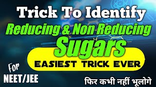 Trick To Learn Reducing And Non Reducing Sugars  Biomolecules neet  Chemistry Tricks mdcat [upl. by Eeresid731]