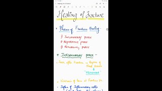 Healing of Fracture  Pathology  Handwritten notes [upl. by Ludovico]