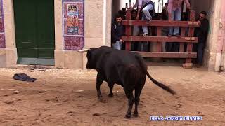 OS TOIROS NAS RUAS DE AZAMBUJA FEIRA DE MAIO 2018 [upl. by Deni]