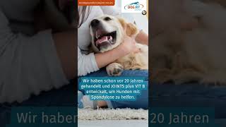 Spondylose beim Hund behandeln  DOG FIT by PreThis® [upl. by Assisi]