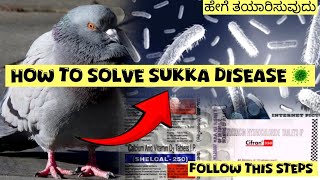 How to cure salmonellosis sukka 🦠 with simple steps explained by Nimmasivaraj pigeon youtube [upl. by Norraj260]