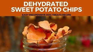 Dehydrated Sweet Potato Chips  Easy Inexpensive Dog Treats Recipe [upl. by Cutter]