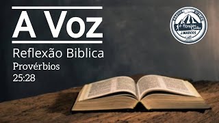 A Voz  Reflexão Biblica  Provérbios 2528 [upl. by Cinomod]