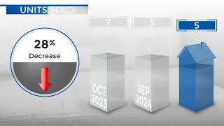 NederlandCO Real Estate Market Update from REMAX AllianceNovember 2024 [upl. by Namielus]