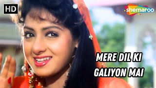 Mere Dil Ki Galiyon Mai  Banjaran 1991  Rishi Kapoor Sridevi  Alka Yagnik Hit Songs [upl. by Nosle981]