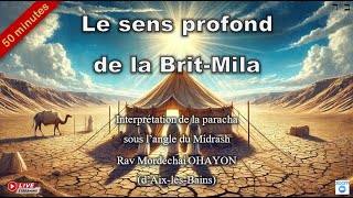 Parachat Vayéra  Le sens profond de la Brit Milah [upl. by Yadsnil]