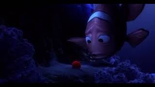 Finding Nemo Egg Scene [upl. by Geraldine940]