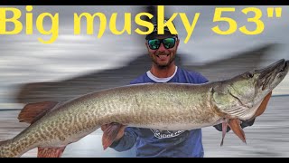 Maskinongé 53 pouces au cast fishing musky videopeche maskie maskinongé pêche bigmusky fish [upl. by Nhguaved319]