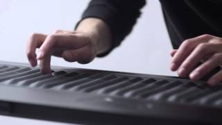 Introducing the Seaboard [upl. by Dupin805]