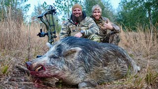 Bowhunting for the Boar Of A Lifetime Hog and Deer Hunting [upl. by Ailes]