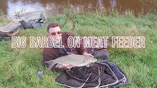 Unlocking the Secret to Catching Massive Barbel with the Cage Feeder [upl. by Ecahc]