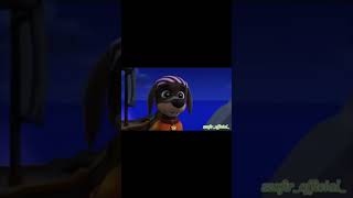 arrby pirates jamnik puppy cute sweet edit pawpatrol [upl. by Rivers]