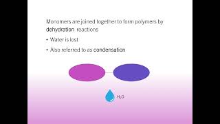 Macromolecules 1  Monomers and Polymers [upl. by Northrup]