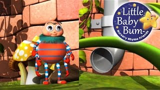 Incy Wincy Spider  LittleBabyBum  Nursery Rhymes for Babies ABCs and 123s  LBB [upl. by Yendic829]