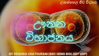 ඌනන විභාජනය  Meiosis  Cell Cycle  AL biology lessons in sinhala  biology 20212022 live stream [upl. by Anneirda]