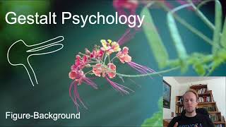 MerleauPonty Phenomenology of Nature Key Concepts part 6 gestalt psychology [upl. by Attecnoc]