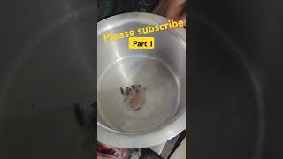 Mushroom biryani recipe next video in my channel subscribe [upl. by Bixby707]