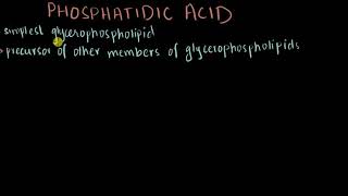 Phosphatidic acid  Structure amp Biosynthesis [upl. by Anon]